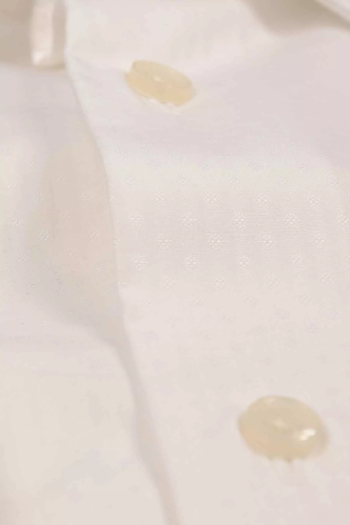 product galley image